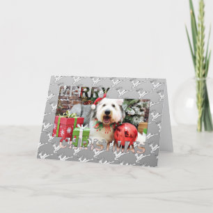 Cartes Pour Fêtes Annuelles Noël - vieux chien de berger anglais - Alphy
