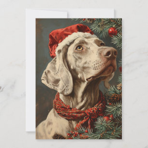 Cartes Pour Fêtes Annuelles Noël Weimaraner