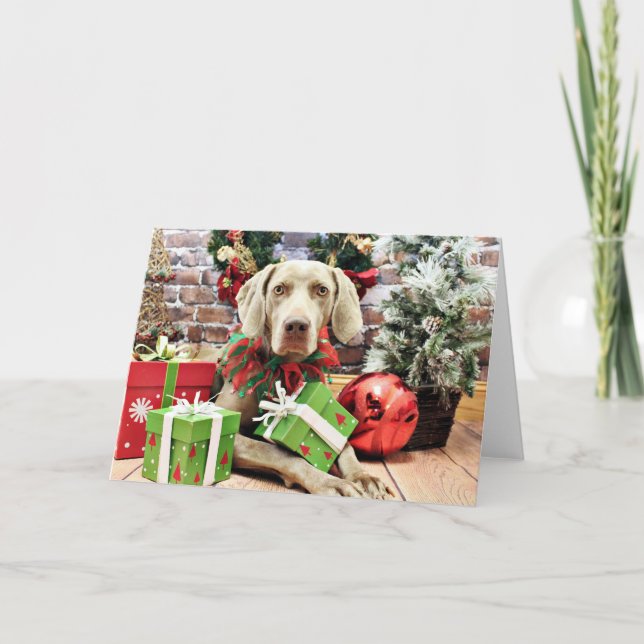 Cartes Pour Fêtes Annuelles Noël - Weimaraner - Lucy (Devant)