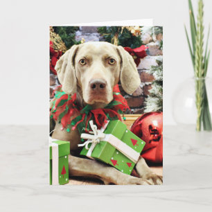 Cartes Pour Fêtes Annuelles Noël - Weimaraner - Lucy