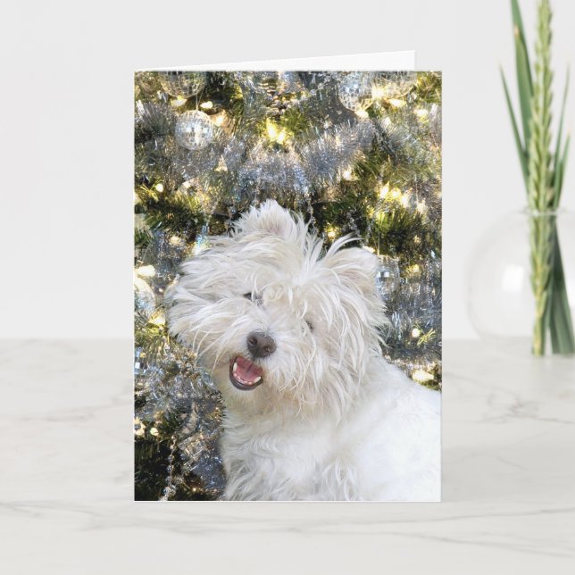 Cartes Pour Fêtes Annuelles Noël Westie (Devant)