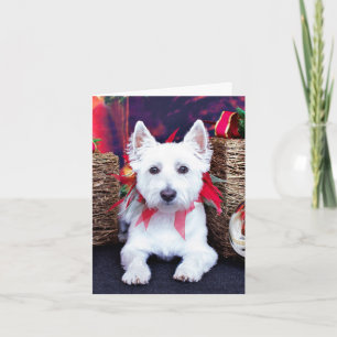 Cartes Pour Fêtes Annuelles Noël - Westie - Bella