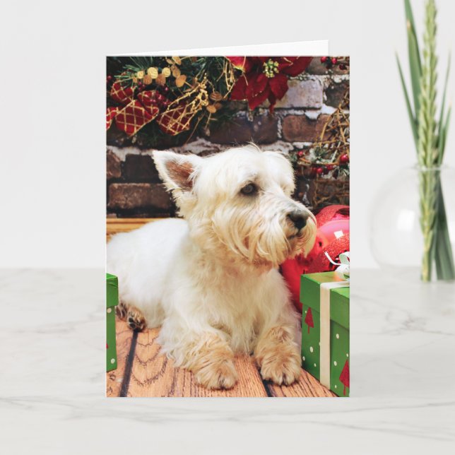 Cartes Pour Fêtes Annuelles Noël - Westie - Callie (Devant)