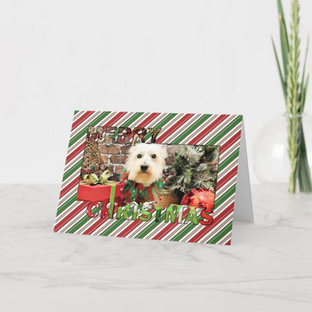 Cartes Pour Fêtes Annuelles Noël - Westie - Sammy (Devant)
