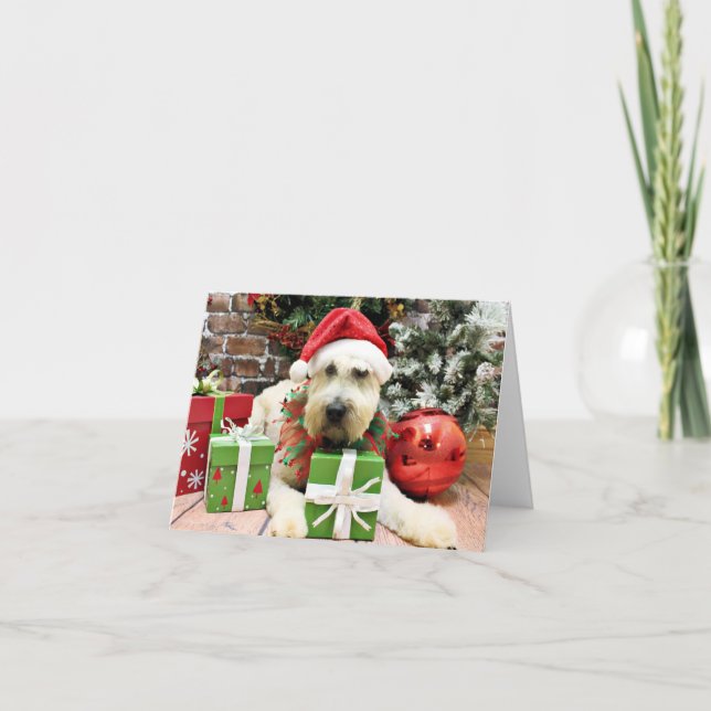 Cartes Pour Fêtes Annuelles Noël - Wheaten Terrier - Bailey (Devant)