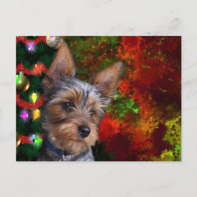 Cartes Pour Fêtes Annuelles Noël Yorkie (Devant)