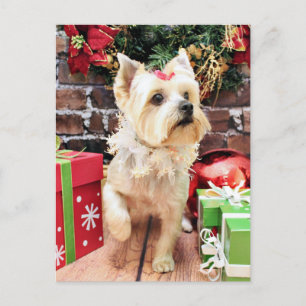 Cartes Pour Fêtes Annuelles Noël - Yorkie - Dorie