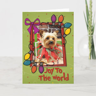 Cartes Pour Fêtes Annuelles Noël - Yorkie - Kinsey