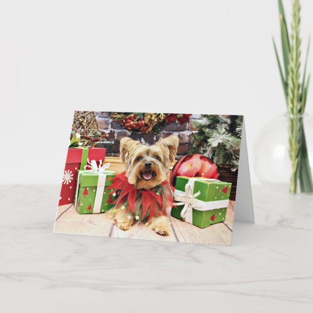 Cartes Pour Fêtes Annuelles Noël - Yorkshire Terrier - Bella (Devant)
