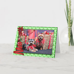 Cartes Pour Fêtes Annuelles Noël - Yorkshire Terrier - Chloe et Rocky