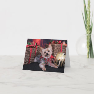 Cartes Pour Fêtes Annuelles Noël - Yorkshire Terrier - Vinnie