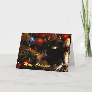 Cartes Pour Fêtes Annuelles Noir Chat Joyeux Noël