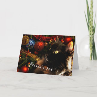 Cartes Pour Fêtes Annuelles Noir Chat Joyeux Noël