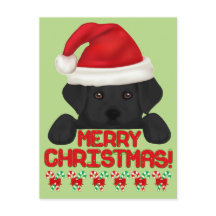 Noir de Noël Puppy Labrador!