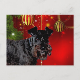 Cartes Pour Fêtes Annuelles Noir Schnauzer Noël