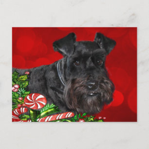Cartes Pour Fêtes Annuelles Noir Schnauzer Noël