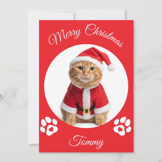Cartes Pour Fêtes Annuelles Nom personnalisé et photo pour Noël de chats (Devant)