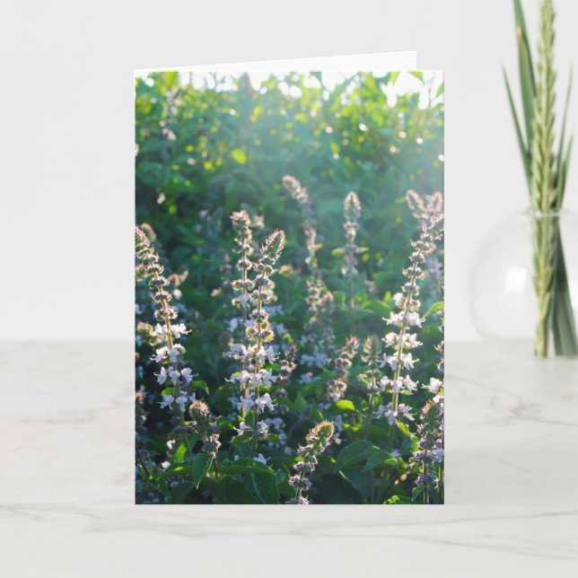 Cartes Pour Fêtes Annuelles non défini (Devant)