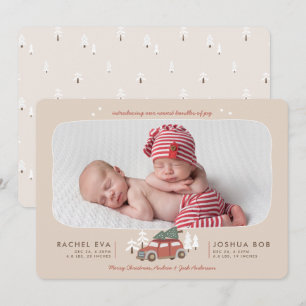 Cartes Pour Fêtes Annuelles Nordic Winter New Twins First Christmas Holiday