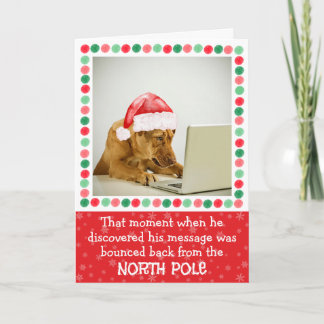 Cartes Pour Fêtes Annuelles North Pole Dog Folded Holiday Card