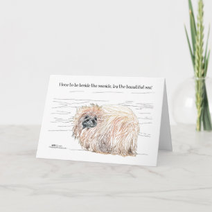 Cartes Pour Fêtes Annuelles Notes de Pekingese Dog