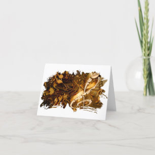 Cartes Pour Fêtes Annuelles Notes musicales treble clef and fa