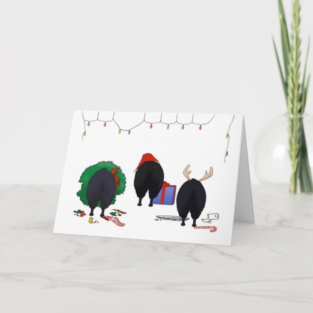 Cartes Pour Fêtes Annuelles Nothin' A Schipperke Christmas (Devant)