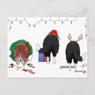 Cartes Pour Fêtes Annuelles Nothin' but A Border Collie Christmas