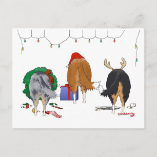 Cartes Pour Fêtes Annuelles Nothin' Butt A Collie Christmas