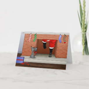 Cartes Pour Fêtes Annuelles Nothin' Butt A Schnauzer Christmas