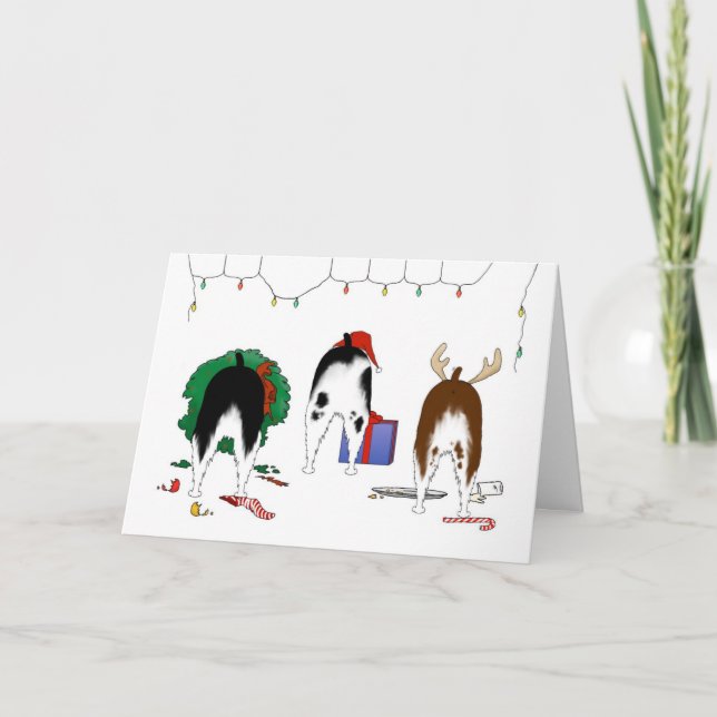 Cartes Pour Fêtes Annuelles Nothin' Butt A Springer Christmas (Devant)