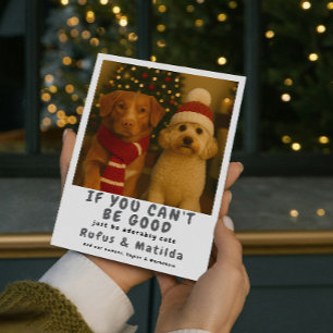 Cartes Pour Fêtes Annuelles Nous sommes sur la liste des vilains Chien Photo d