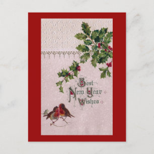 Cartes Pour Fêtes Annuelles Nouvel an Euro Robins et Holly
