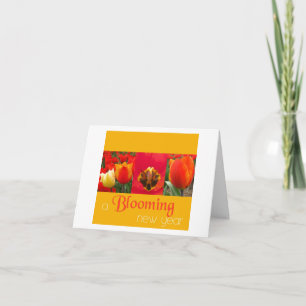 Cartes Pour Fêtes Annuelles nouvel an orangé