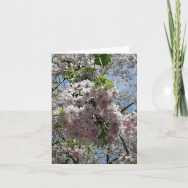 Cartes Pour Fêtes Annuelles Nouvelle Année-Keigo-NY de fleurs de cerisier (Devant)