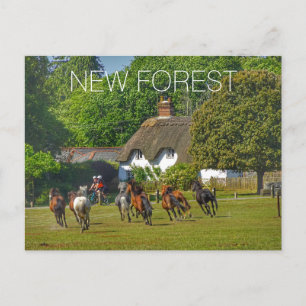 Cartes Pour Fêtes Annuelles Nouvelle Forêt