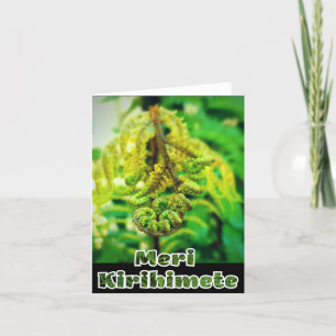 CARTES POUR FÊTES ANNUELLES NOUVELLE-ZÉLANDE NOËL FERN KIWI MERI KIRIHIMETE