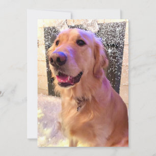 Cartes Pour Fêtes Annuelles Nova Girl's Merry and Bright - Golden Retriever -