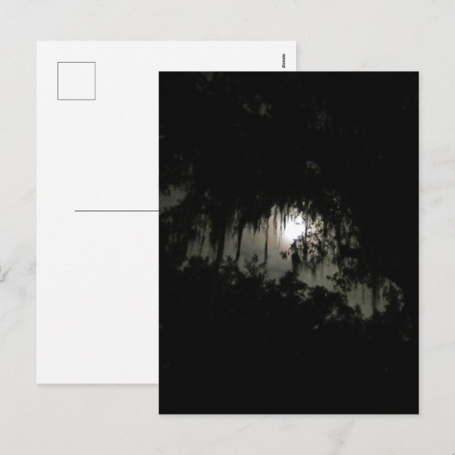 Cartes Pour Fêtes Annuelles Nuitée noire (Devant / Derrière)