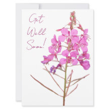 Obtenez bien bientôt jolies fleurs roses simple fl