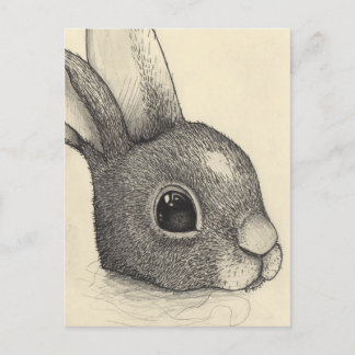 Cartes Pour Fêtes Annuelles Oeil de lapin