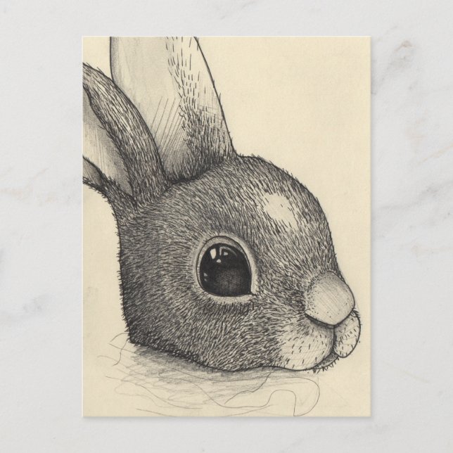 Cartes Pour Fêtes Annuelles Oeil de lapin (Devant)