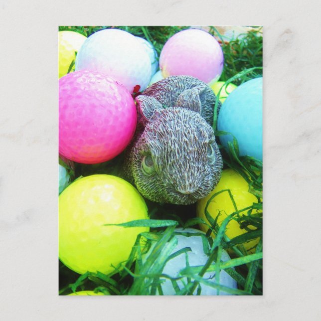 Cartes Pour Fêtes Annuelles Oeufs de Pâques, Lapin, Ballons de golf (Devant)