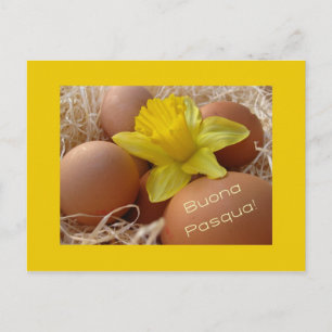 Cartes Pour Fêtes Annuelles Oeufs et jonquille salut de pâques - italien