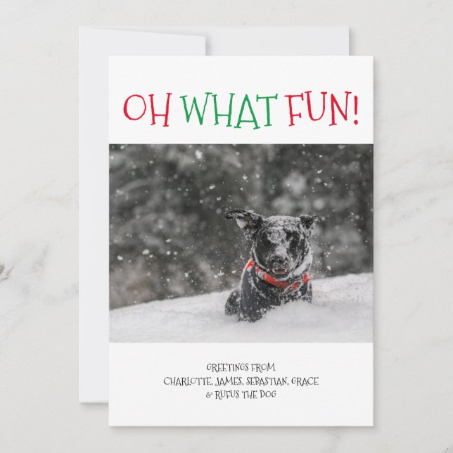 Cartes Pour Fêtes Annuelles Oh Quel Fun Noël Personnalisé (Devant)
