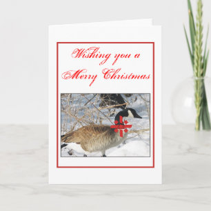 Cartes Pour Fêtes Annuelles Oie de Noël