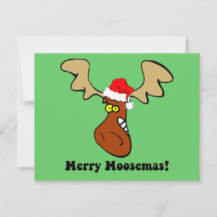 Cartes Pour Fêtes Annuelles Oie de Noël drôle
