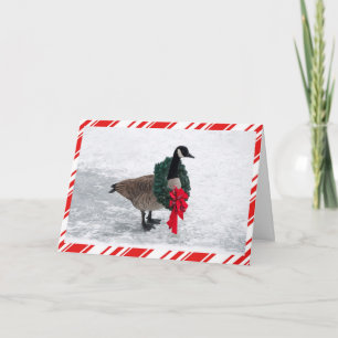 Cartes Pour Fêtes Annuelles Oie drôle de Noël avec la guirlande