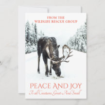 Oie En Hiver Secourt Faune De Neige Noël