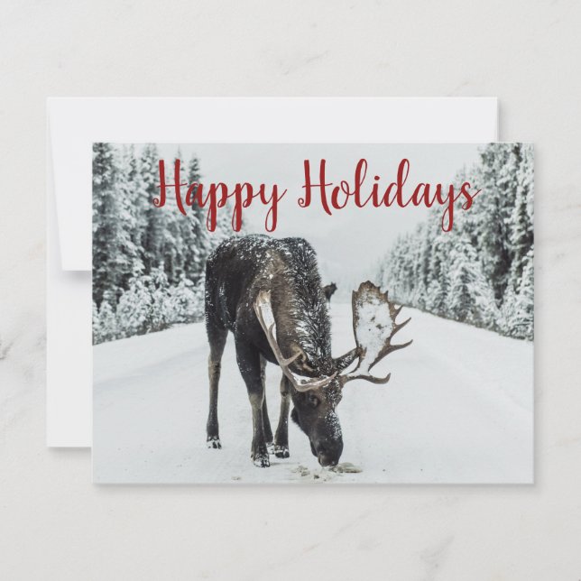 Cartes Pour Fêtes Annuelles Oie En Neige En Hiver (Devant)